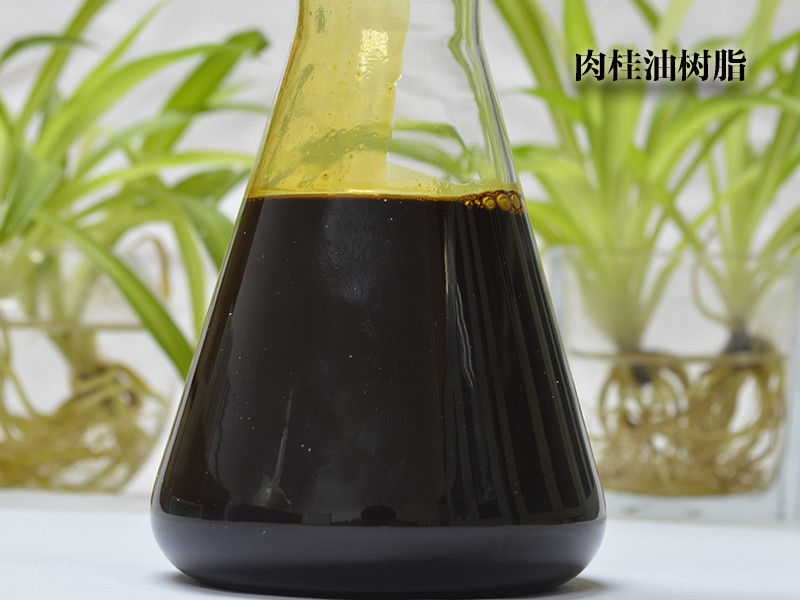 肉桂油树脂
