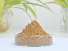 亚麻木酚素-亚麻籽提取物