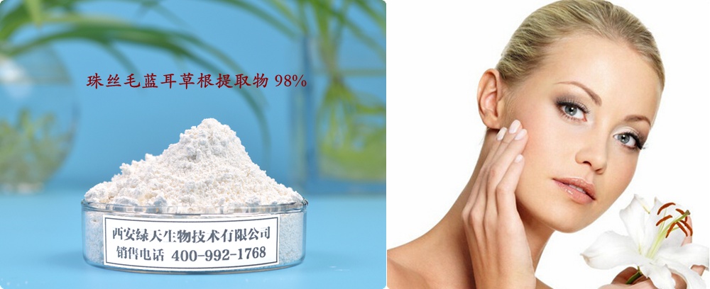 珠丝毛蓝耳草根提取物