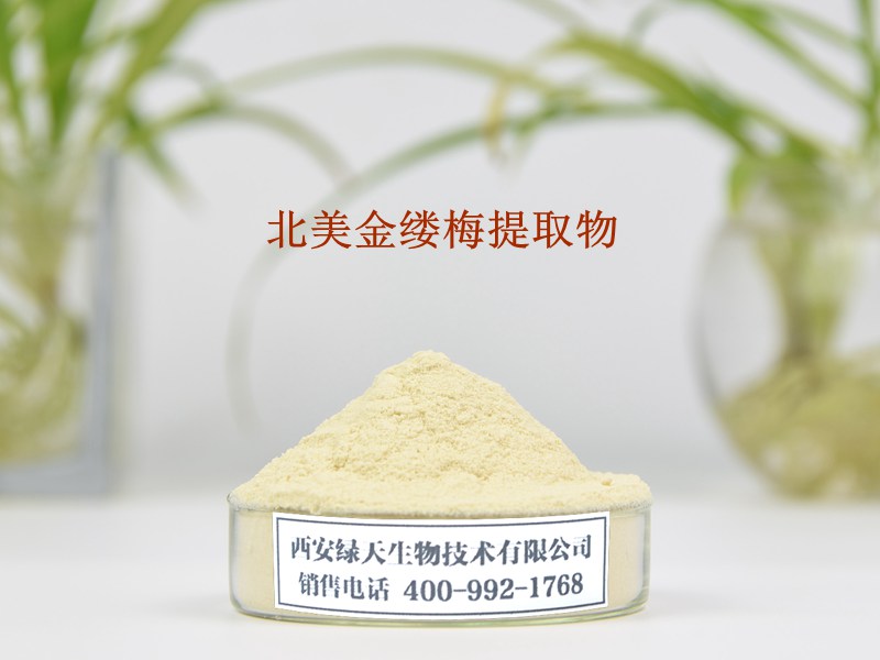 北美金缕梅提取物