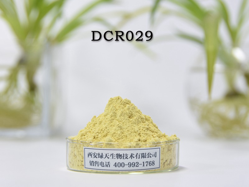 DCR029