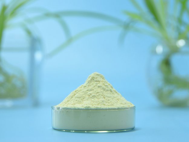 黄芩提取物-黄芩苷