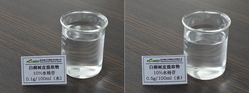 白柳树皮提取物
